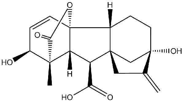 赤霉素GIBBERELLIC ACID，居然有這么神奇？